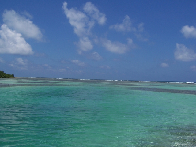 16 Acres On The Beautiful Island of Caye Bokel Buy Belize Real Estate